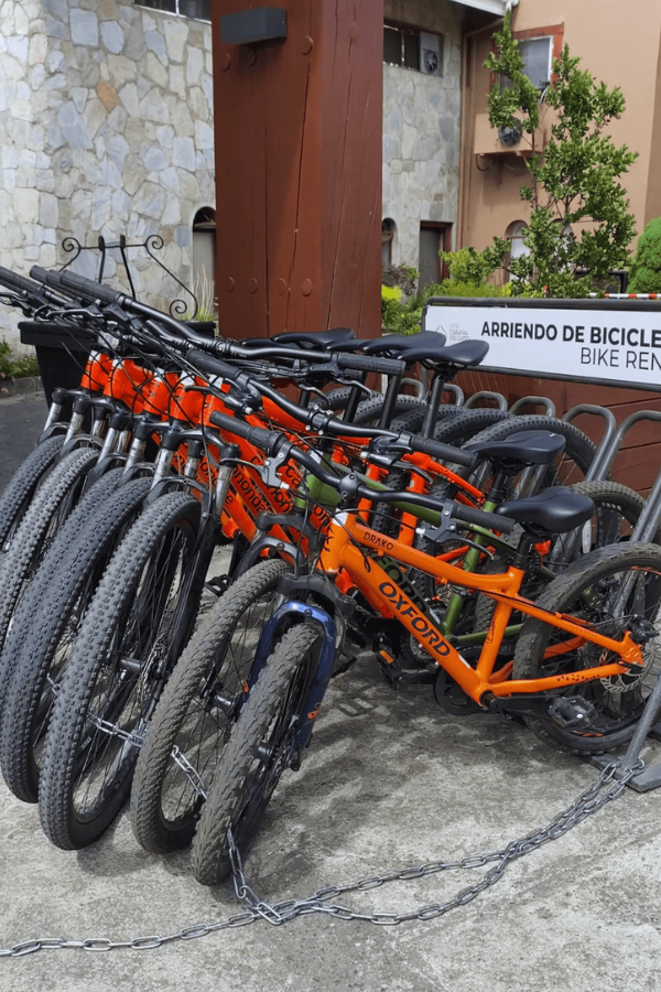 Arriendo de bici en Puerto Varas